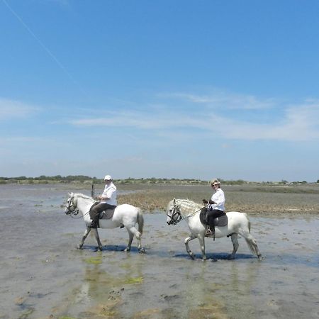Mas De La Grenouillere Hotel Et Centre Equestre En Pleine Nature Сен Мари де ла Мер Екстериор снимка