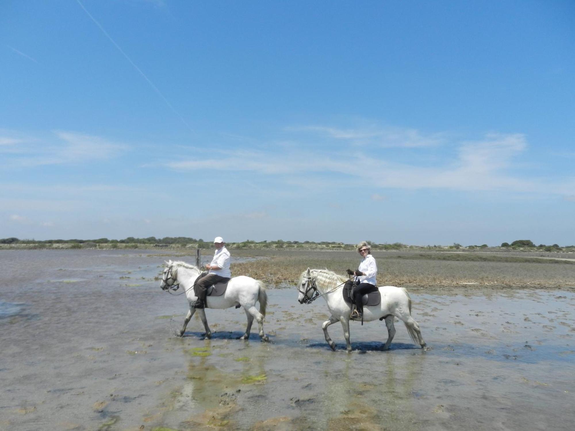 Mas De La Grenouillere Hotel Et Centre Equestre En Pleine Nature Сен Мари де ла Мер Екстериор снимка