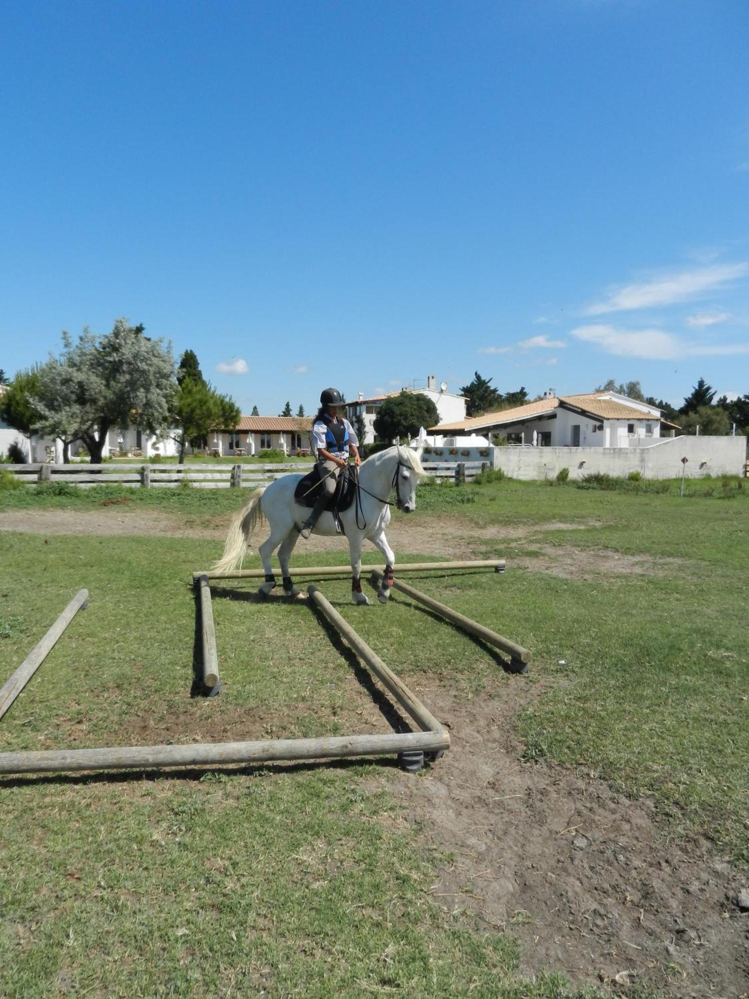 Mas De La Grenouillere Hotel Et Centre Equestre En Pleine Nature Сен Мари де ла Мер Екстериор снимка