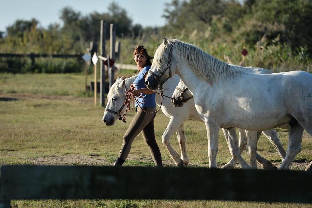 Mas De La Grenouillere Hotel Et Centre Equestre En Pleine Nature Сен Мари де ла Мер Екстериор снимка